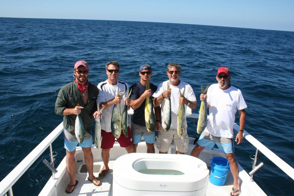 San Diego Dolphin Fishing