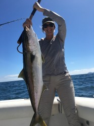 yellowfin fish