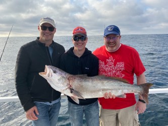 guoup holding seabass